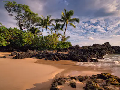 Beach Days Maui rental car trip type