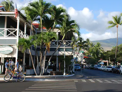 Budget Trips Maui rental car trip type